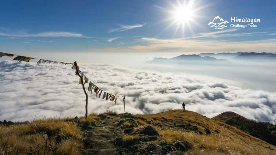 Mardi Himal Trek in 7 Days where Solitude Meets the Peak - Good To Know