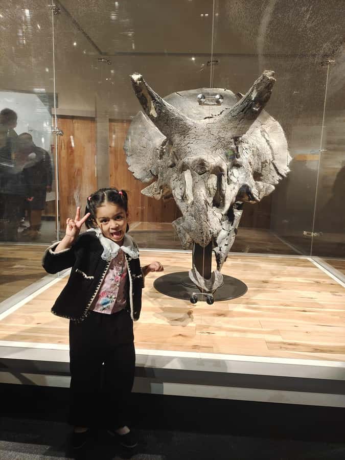 Drumheller Royal Tyrrell Museum,Hoodoos,Horshoe Canon,Bridge - Key Points