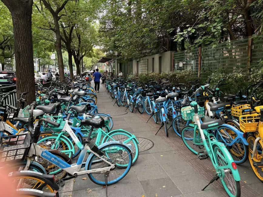 Shanghai: A Day of Immersive Suburban Life - Key Points