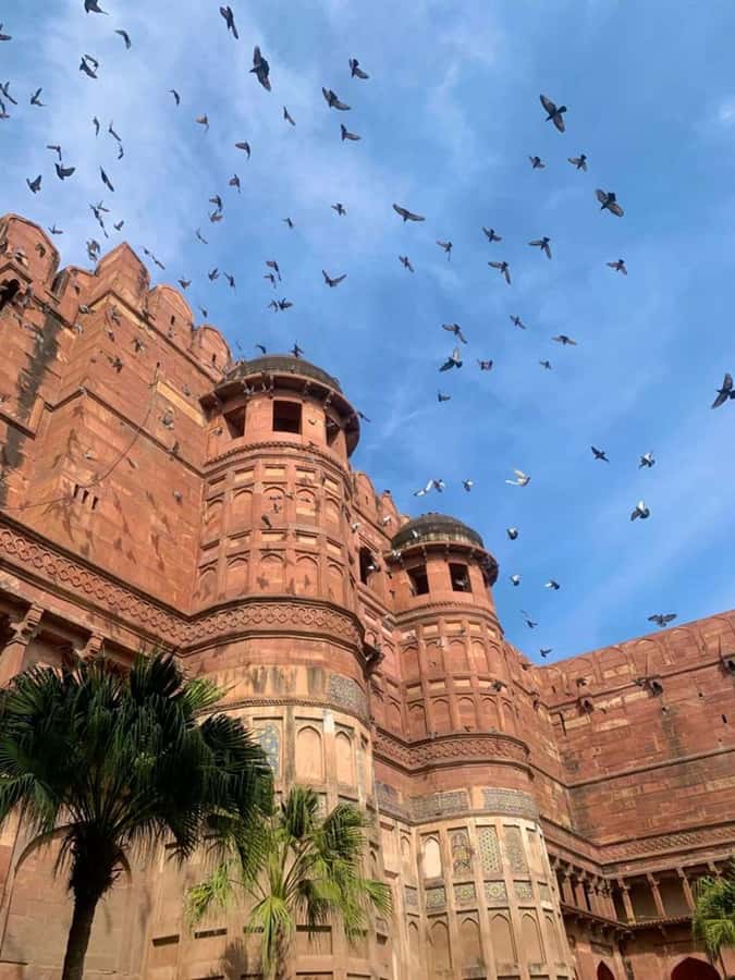 Agra Fort: A Guided Walking Tour of UNESCO World Heritage - Who Should Book This Tour?