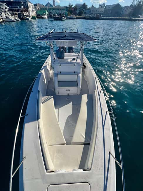 Nassau Booze and Cruise Harbour Tour - Who Should Book This Tour?