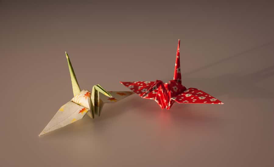 Kyoto: Japanese Language and Origami Class - A Practical Look at What You’ll Experience