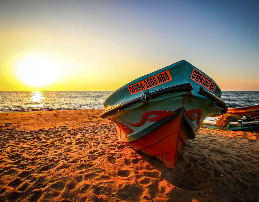 From Negombo: Negombo and Colombo Day Tour - Practical Details and What to Expect  