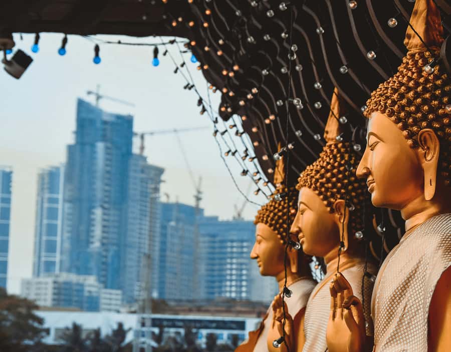 From Negombo: Negombo and Colombo Day Tour - Exploring Negombo: Coastal Beauty and Cultural Heritage  