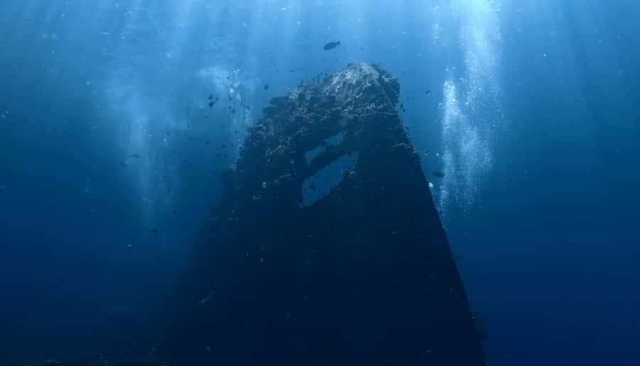 Bali Day Trip: Fun Dive at Liberty Wreck & Kayak Adventure - What to Expect from the Dive Experience