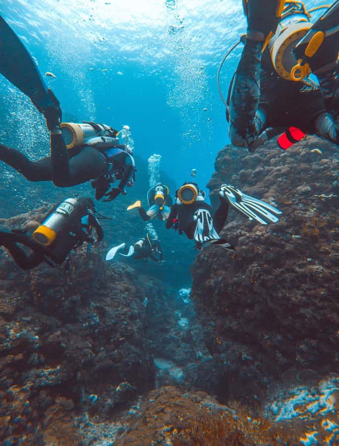 Bali Day Trip: Fun Dive at Liberty Wreck & Kayak Adventure - Pricing and Value