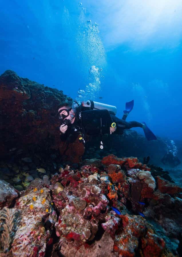 Bali Day Trip: Fun Dive at Liberty Wreck & Kayak Adventure - Final Thoughts