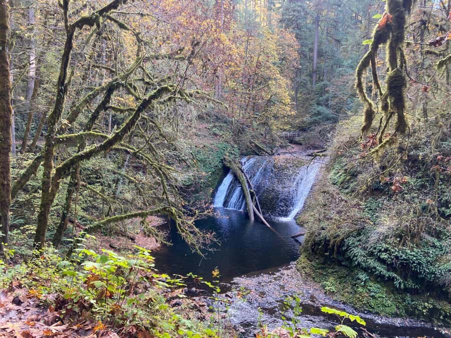 Portland Oregon: Silver Falls State Park Waterfall Hike - Things to Consider