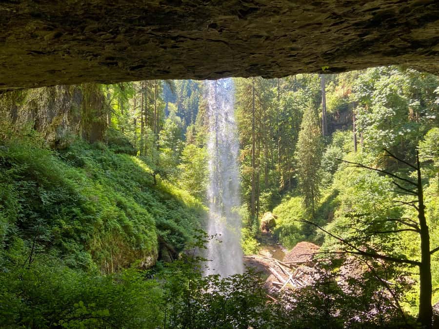 Portland Oregon: Silver Falls State Park Waterfall Hike - Why This Tour Works Well
