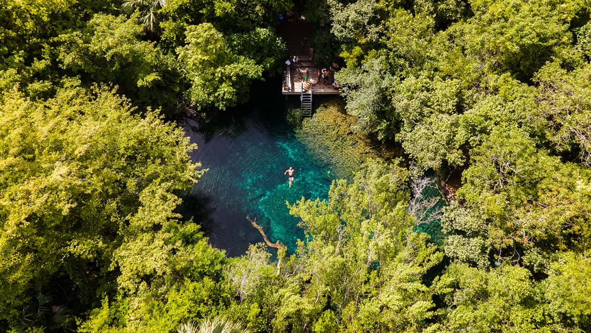 Punta Cana Cenote: Floating Sound Healing & Swim - Who Would Love This Tour?