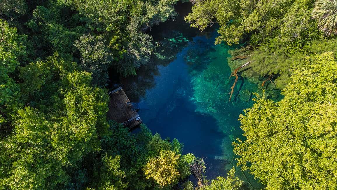 Punta Cana Cenote: Floating Sound Healing & Swim - The Value of This Experience