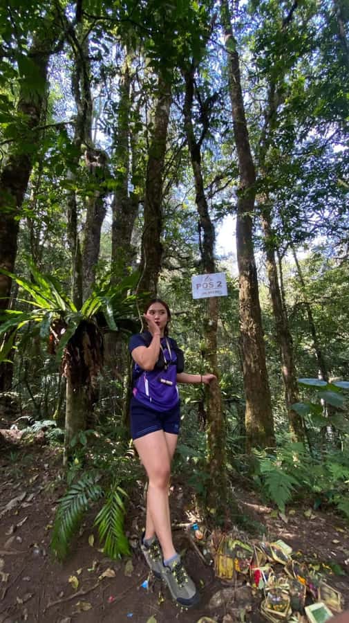 Bali: Mount Adeng Guided Hike with Temple Visit - The Trail and Its Highlights
