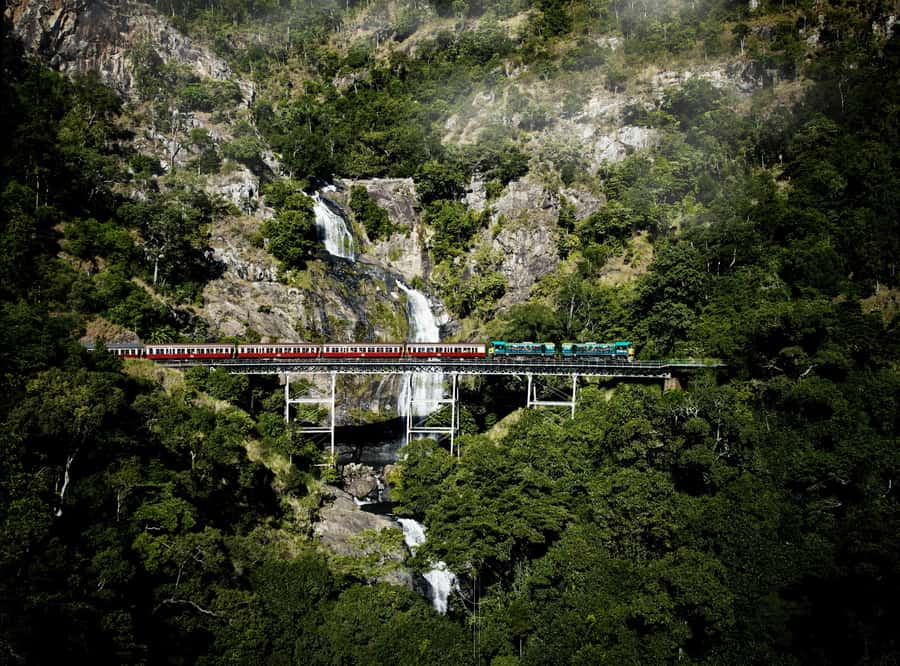 Cairns: Cattana Wetlands, Barron Falls & Kuranda Railway - Who Will Enjoy This Tour?