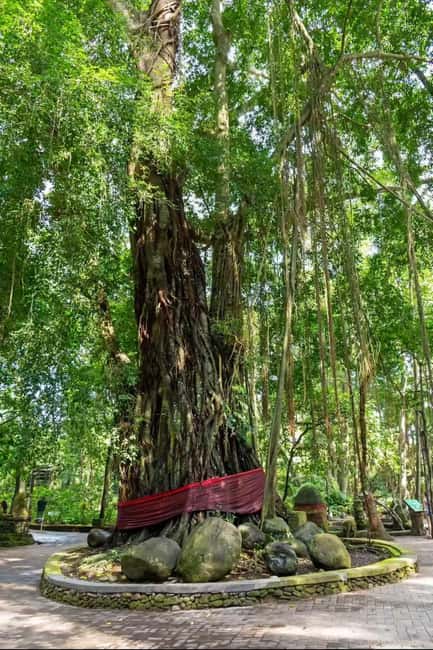 Xishuangbanna: Day Trip to Daluo - Good To Know  