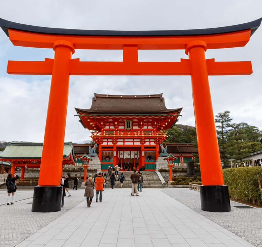 Kyoto & Nara: Full-Day Private Guided Tour with Hotel Pickup - Final Thoughts