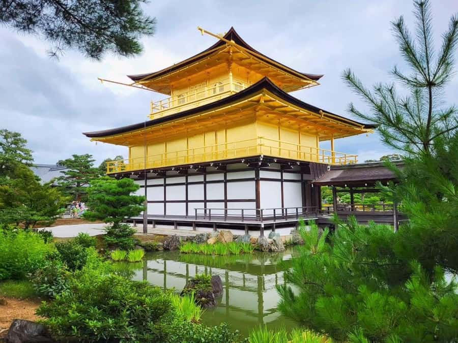 Kyoto & Nara: Full-Day Private Guided Tour with Hotel Pickup - Exploring the Highlights of Kyoto & Nara