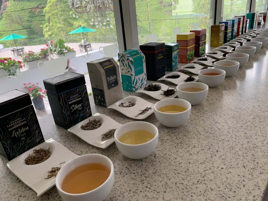 Kandy: Nuwara Eliya Transfer with Tea Factories & Falls - Good To Know