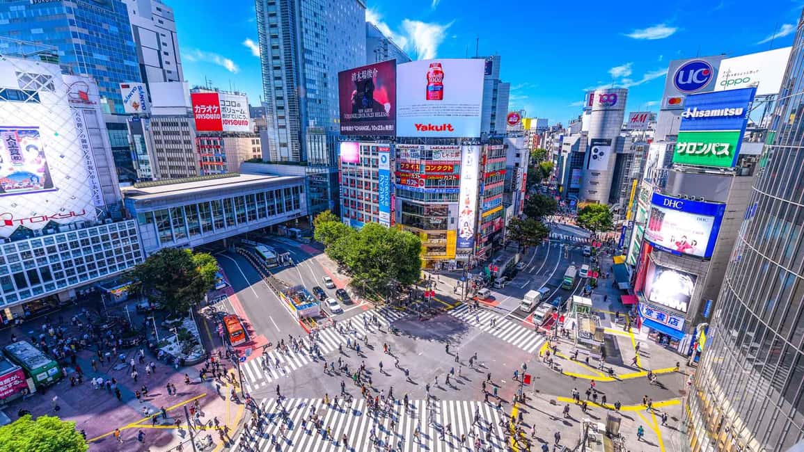 Shinjuku: Tokyo in High Definition - Walking Tour - Practical Tips and Insights