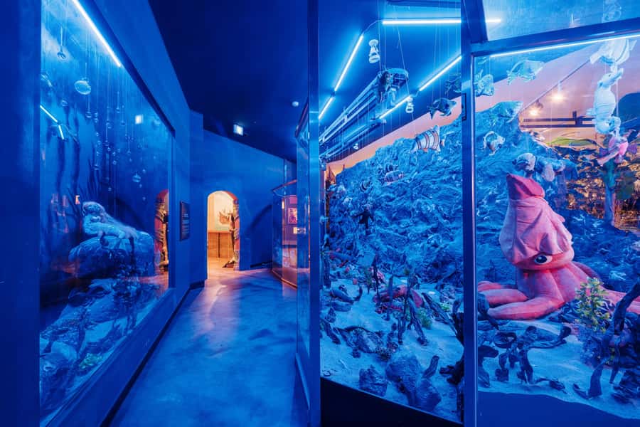 Jeju: Teddy Bear House TESEUM Entry Ticket - Who Should Consider Visiting?