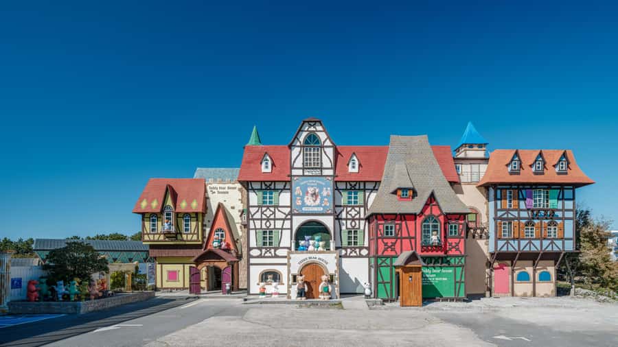 Jeju: Teddy Bear House TESEUM Entry Ticket - Good To Know