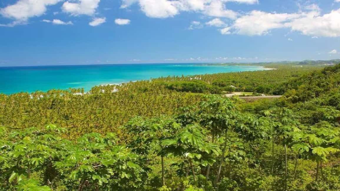 Punta Cana: Samaná Day Trip with El Limón & Bacardí Island - Why This Tour Offers Good Value