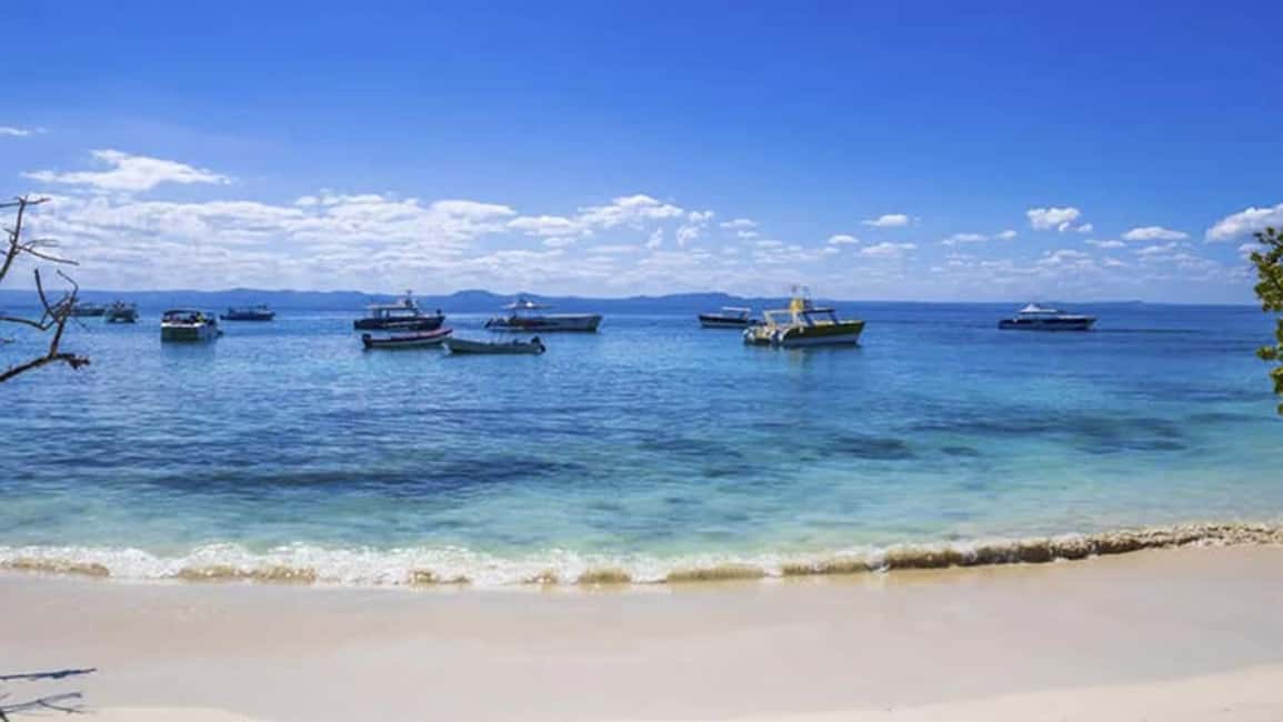 Punta Cana: Samaná Day Trip with El Limón & Bacardí Island - FAQs