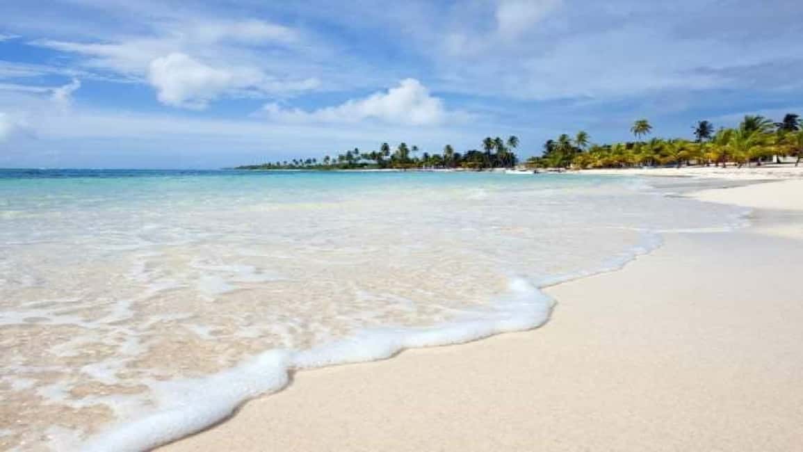 Private: Catalina Island Snorkeling & BBQ Boat Tour - Why This Tour Offers Great Value