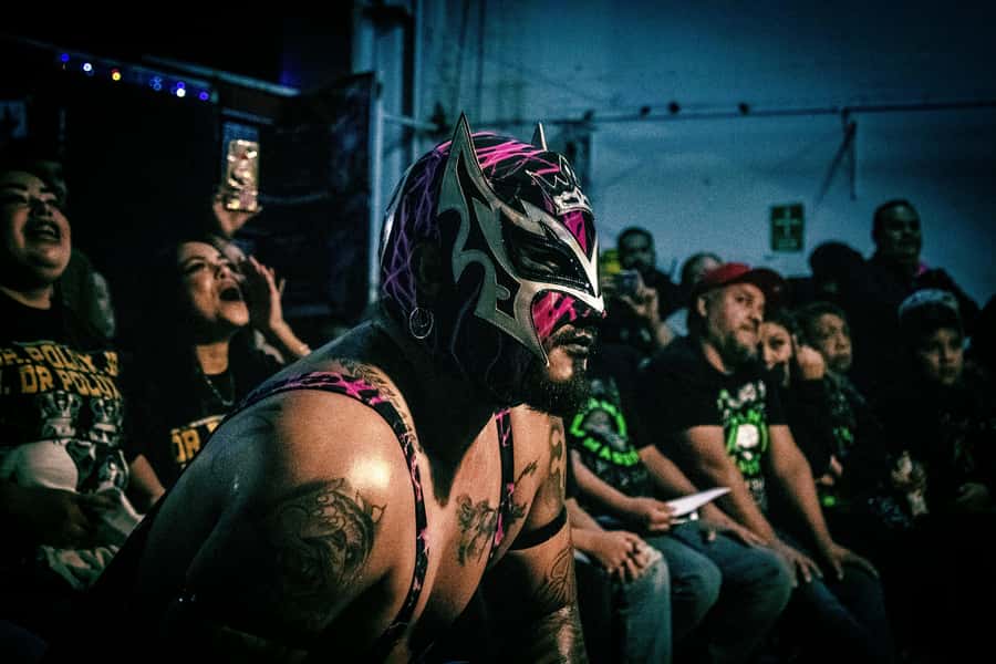 Mexico City: Lucha Libre, Mezcal, Tequila, and Live Show Tour - Key Points