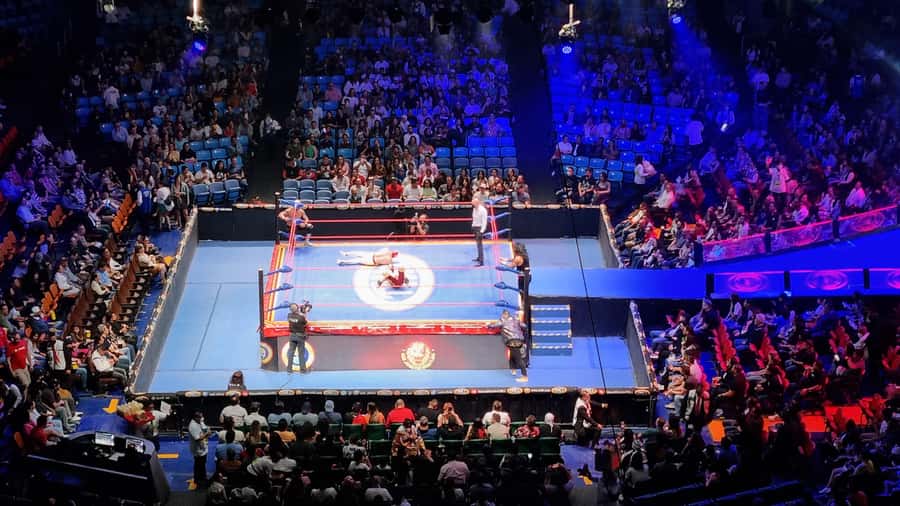 Mexico City: Lucha Libre, Mezcal, Tequila, and Live Show Tour - Who Will Enjoy This Tour?