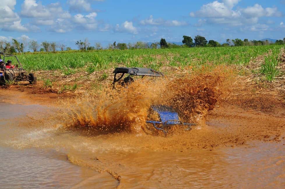 Private: Sunset Horseback Experience  Macao Forest & Beach - Forest Ride: Nature’s Soundtrack