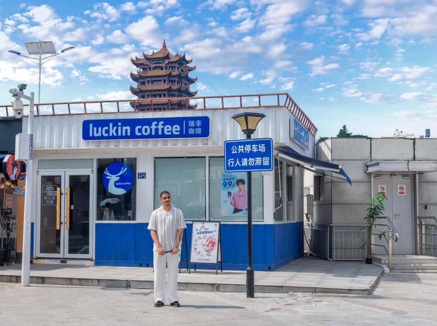 Wuhan: Yellow Crane Tower and Hubu Alley Guided Tour - Who Should Consider This Tour?