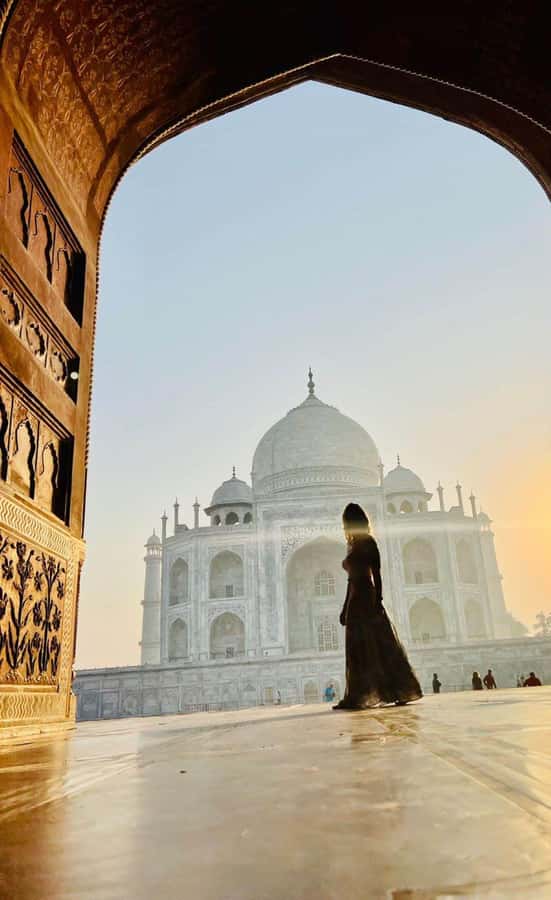 From Delhi: Skip-the-Line Taj Mahal & Agra Fort Tour - Who Will Love This Tour?