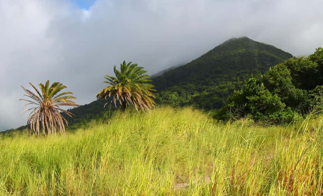 St. Kitts: Nevis Island Tour with Lunch and Guide - Good To Know