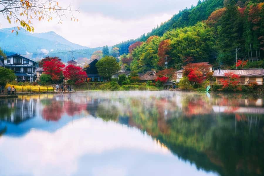 Oita Classic Day Trip from Fukuoka - Who Will Love This Tour?