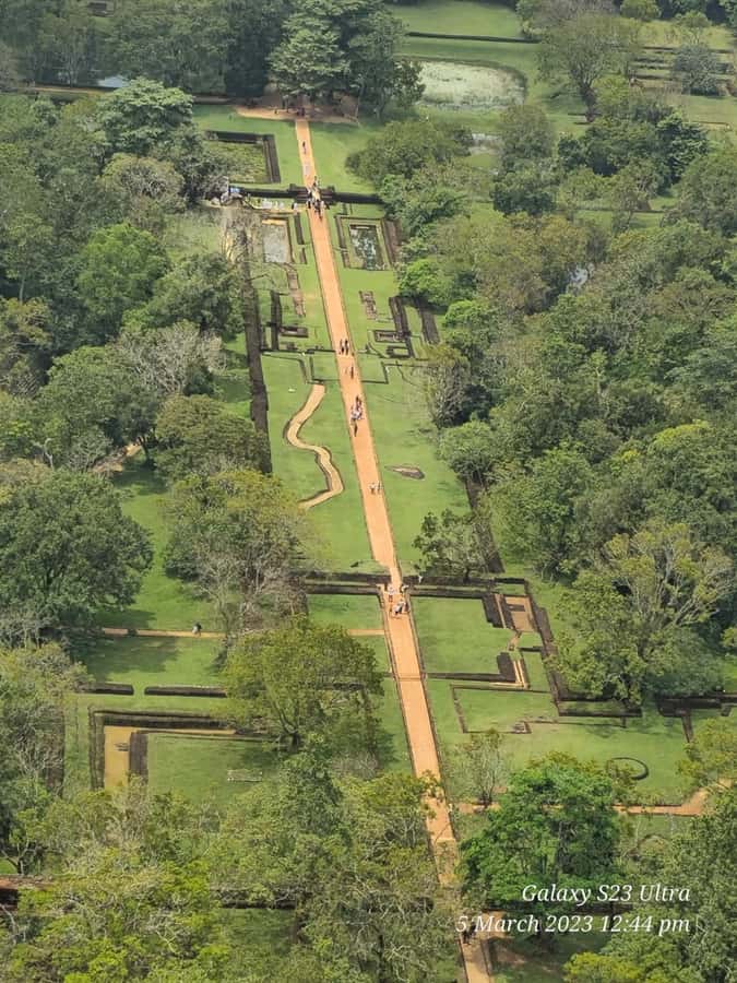 Sigiriya and Dambulla Day Tour - What to Expect and Practical Tips