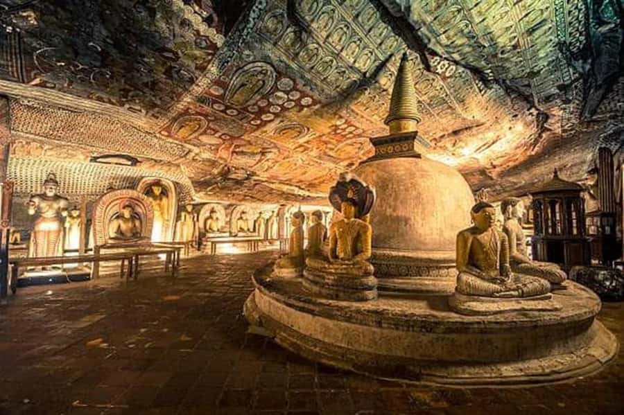 Sigiriya and Dambulla Day Tour - Who Should Consider This Tour?