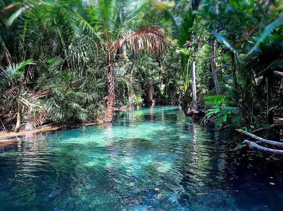 Krabi: Mirror Lake Golden Hour Kayak & Ao Nang Night Market - FAQ