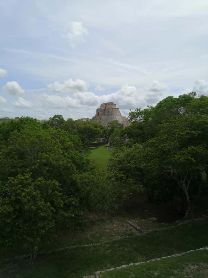 Mérida: Uxmal Tour with Sisal Plantation and Cenote Swim - Discovering Uxmal: A Mayan Marvel