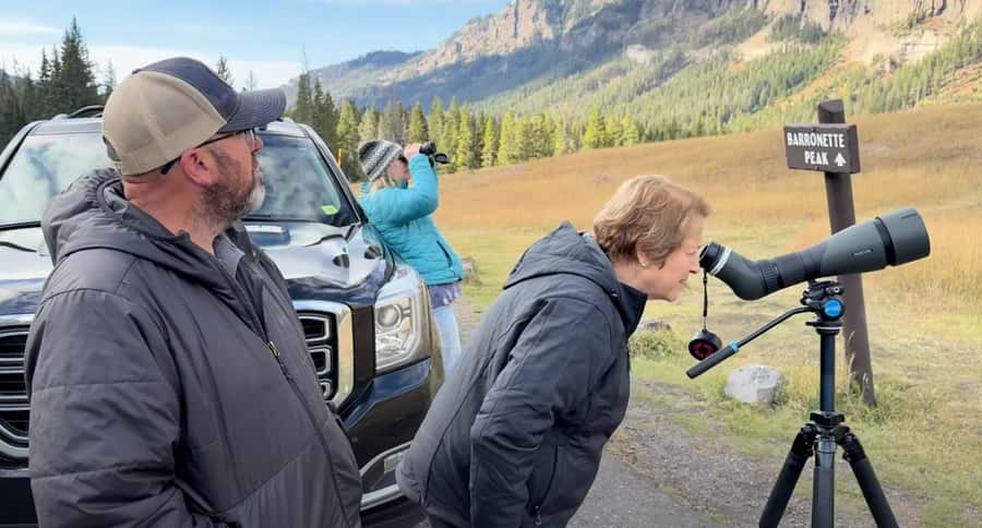 Private Yellowstone Winter Safari and Wolf Watching Tour - Final Thoughts: Is It Worth It?