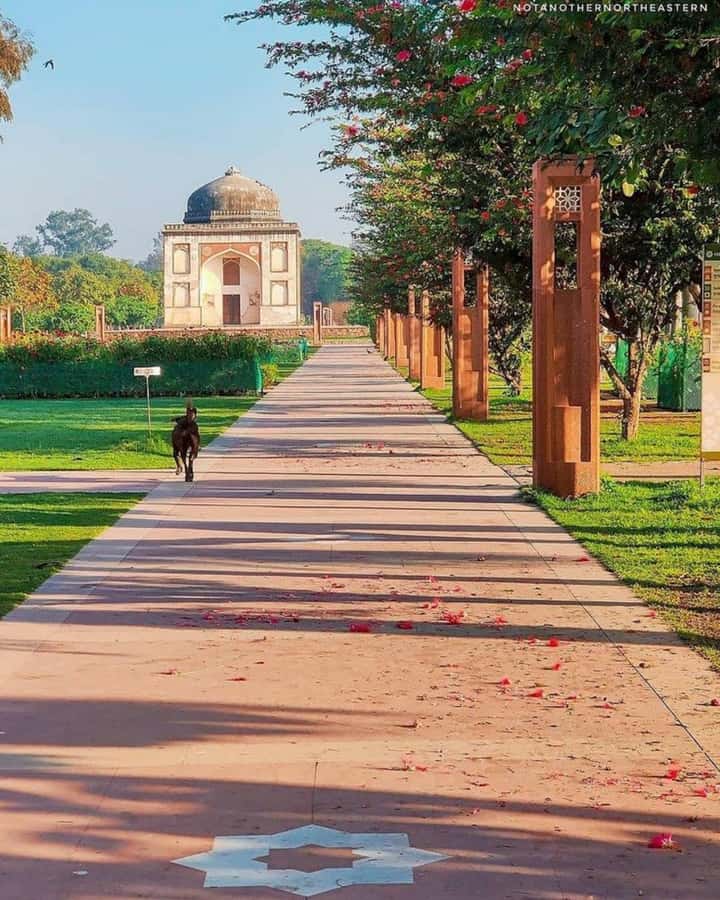 Delhi in One Day: Private Old & New Delhi with Local Stories - FAQ