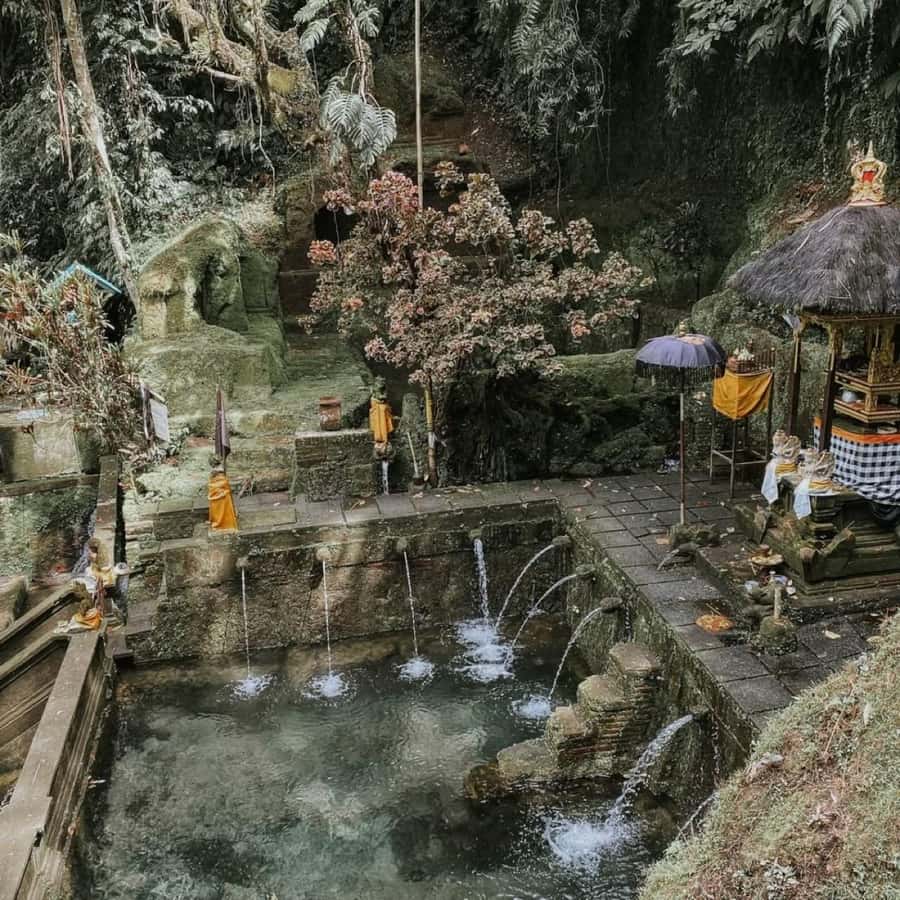 Ubud: Telaga Waja Temple, Waterfalls- Mancingan Rice Terrace - An In-Depth Look at the Ubud Tour Itinerary