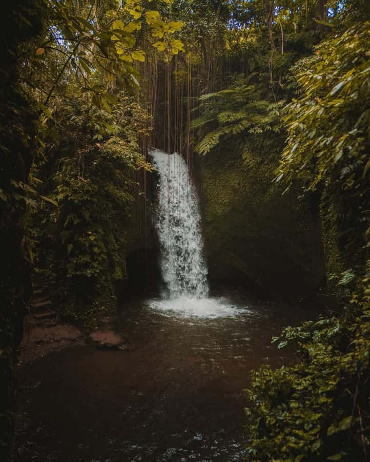 Ubud: Telaga Waja Temple, Waterfalls- Mancingan Rice Terrace - What Makes This Tour Stand Out?