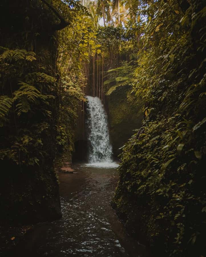 Ubud: Telaga Waja Temple, Waterfalls- Mancingan Rice Terrace - Frequently Asked Questions