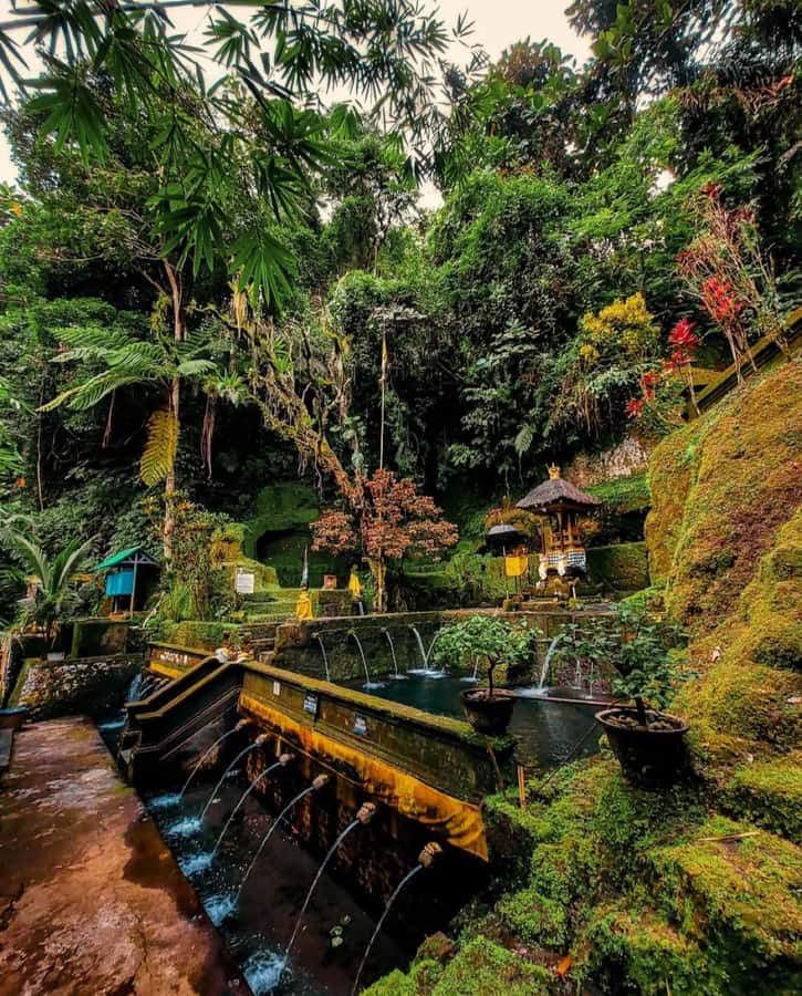 Ubud: Telaga Waja Temple, Waterfalls- Mancingan Rice Terrace - Discover the Hidden Charms of Ubud: Telaga Waja Temple, Waterfalls, and Rice Terraces