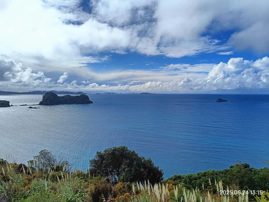 Auckland to Coromandel: Private Coastal Escape - Final Thoughts
