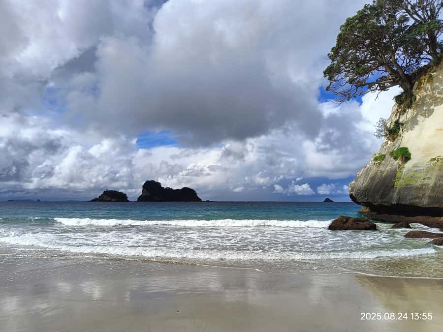 Auckland to Coromandel: Private Coastal Escape - Good To Know