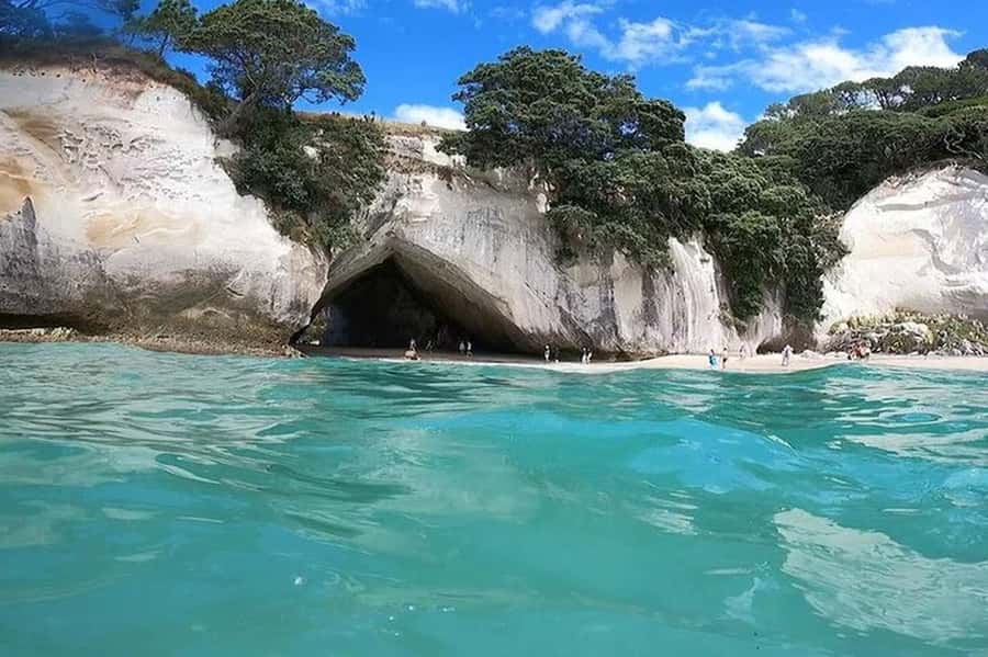 Auckland to Coromandel: Private Coastal Escape - Why This Tour Is a Great Choice