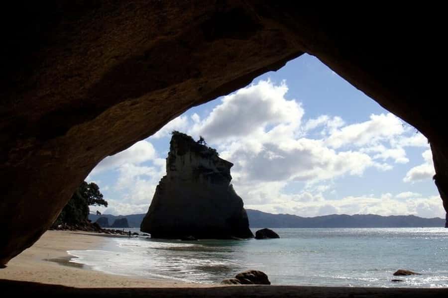 Auckland to Coromandel: Private Coastal Escape - An In-Depth Look at the Coromandel Private Tour