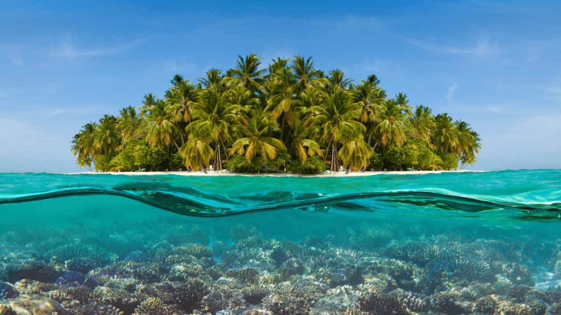 Saona Island: Hidden Beach & Natural Pool - Starting Point: From Punta Cana to Paradise