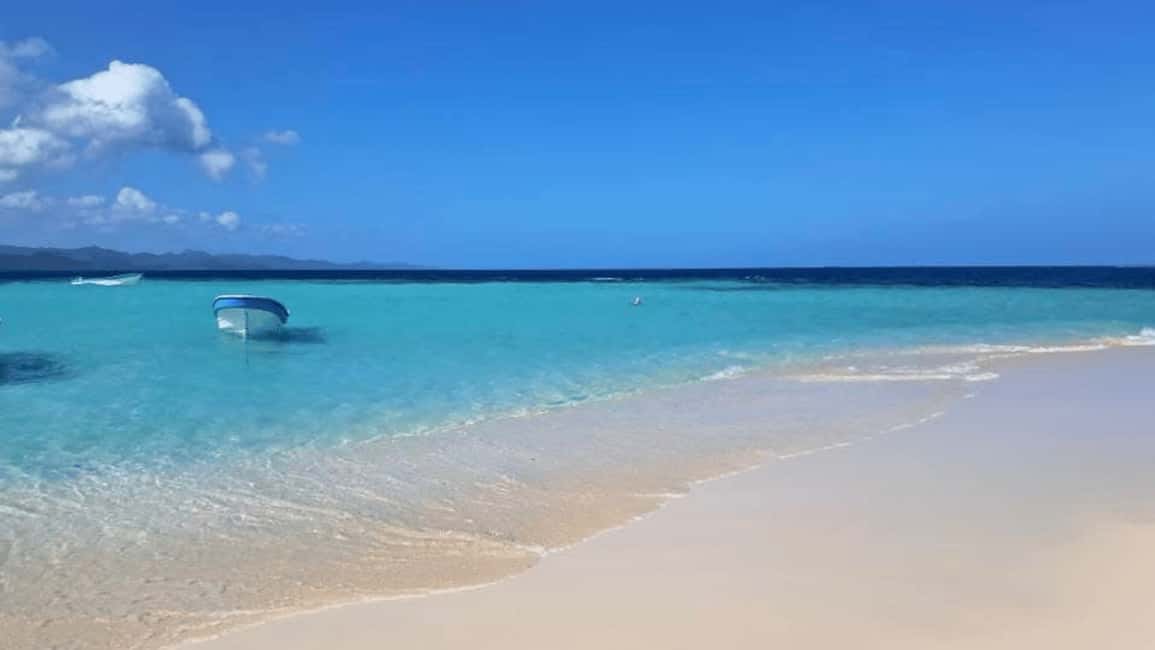 Saona Island: Hidden Beach & Natural Pool - Key Points